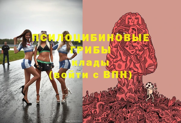 соль ск Алексин