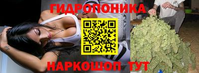 наркотики Ачхой-Мартан