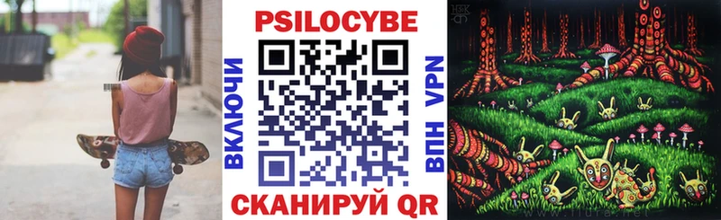 где купить наркотик Большой Камень Псилоцибиновые грибы мухоморы