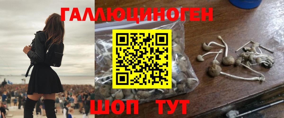 Псилоцибиновые грибы ЛСД Большой Камень