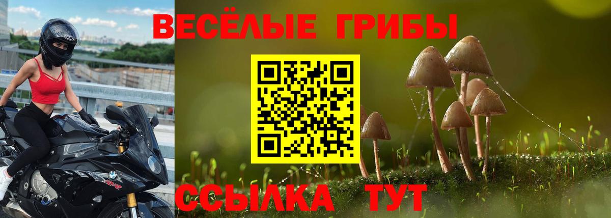 Большой Камень  Галлюциногенные грибы ЛСД  Вход с VPN  Псилоцибиновые грибы мухоморы 